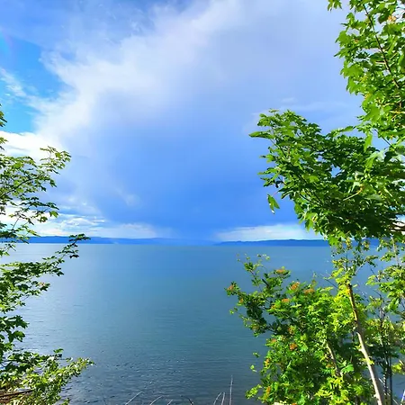 Vila Ocean Side House, Sea View, Free Parking ! Trondheim